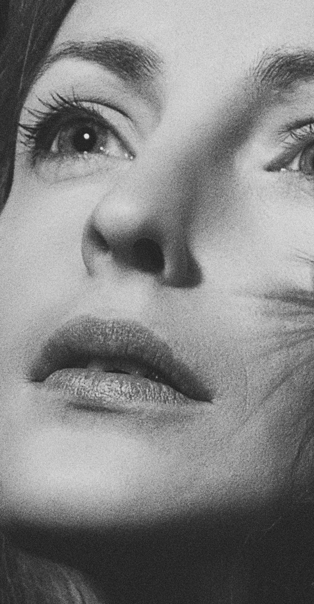iconic french celebrity portrait